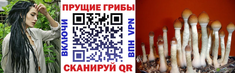 Галлюциногенные грибы Cubensis  Валуйки 
